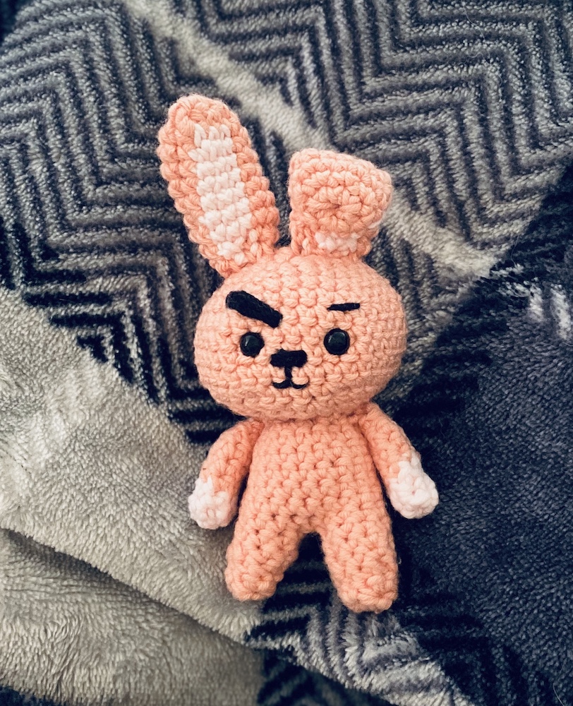 Photo of crocheted Cooky